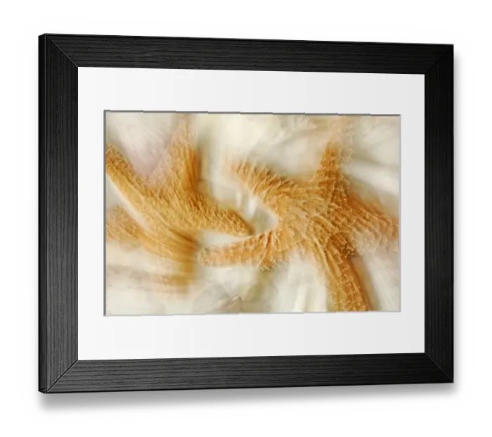Framed Print : USA, North America, Florida Framed Print : USA, North America, Florida