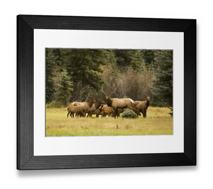 Framed Print : USA, North America, Colorado Framed Print : USA, North America, Colorado