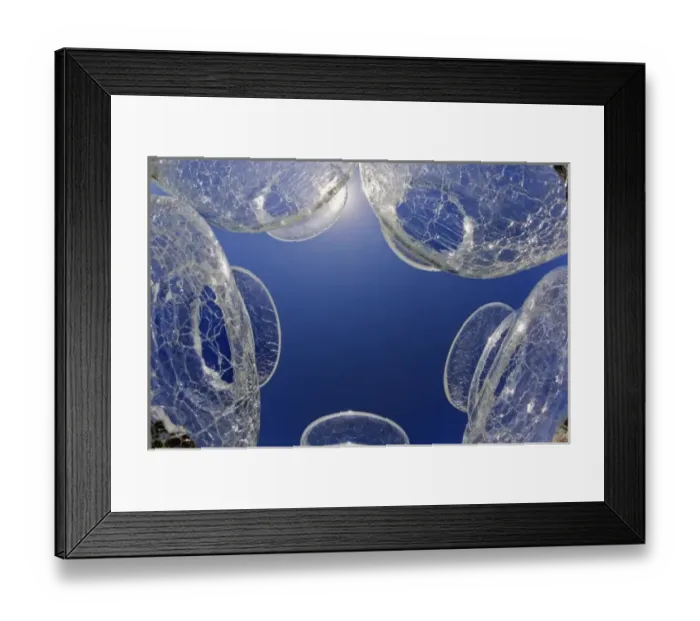 Framed Print : Skyward view through glass jars, Palm Beach, Florida Framed Print : Skyward view through glass jars, Palm Beach, Florida