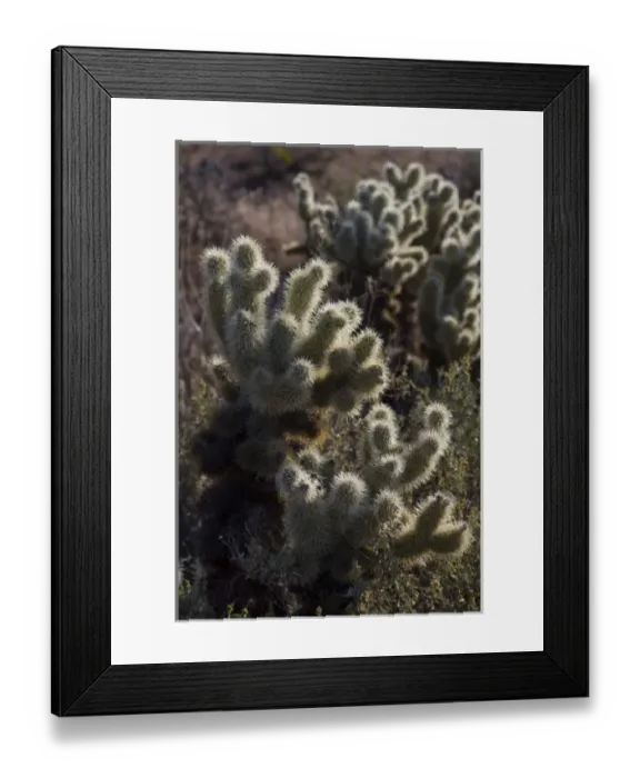 Framed Print : USA, North America, Arizona Framed Print : USA, North America, Arizona
