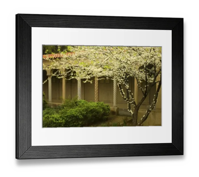 Framed Print : USA, North America, District of Columbia Framed Print : USA, North America, District of Columbia