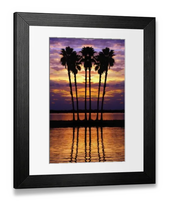 Framed Print : North America, USA, Florida, Mt. Dora, Colorful sunset with silhouetted palm trees near Lake Dora