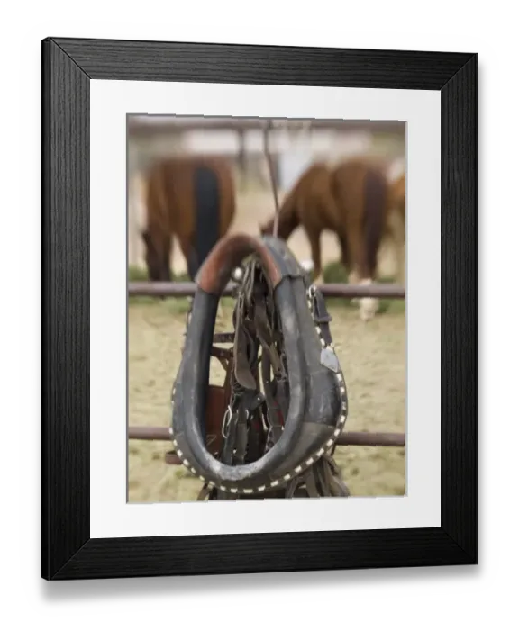Framed Print : USA, North America, Arizona