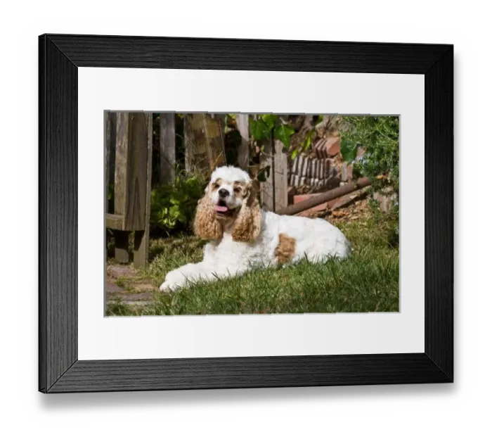 Framed Print : USA, North America, California Framed Print : USA, North America, California