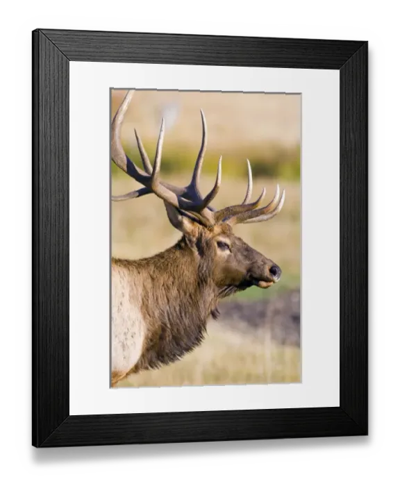 Framed Print : USA, North America, Colorado
