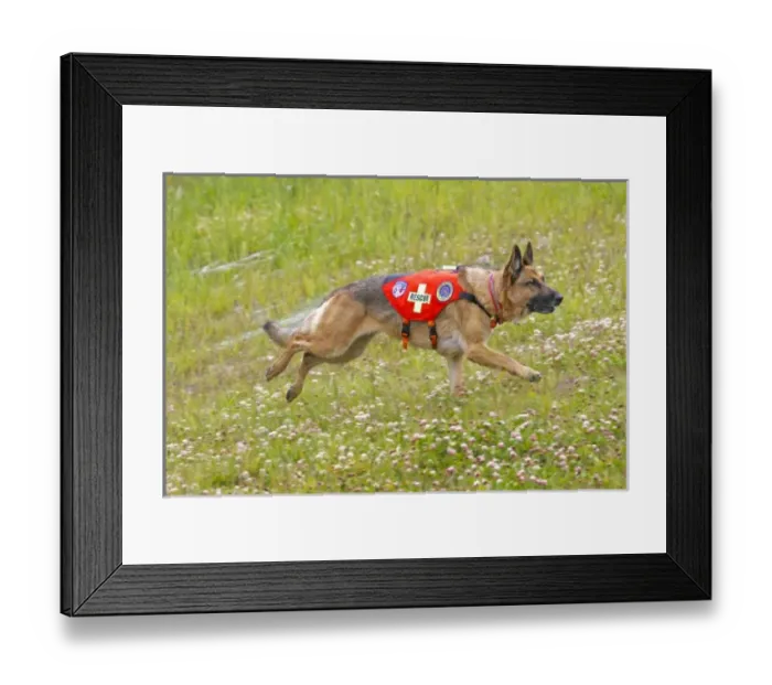 Framed Print : USA, North America, Colorado