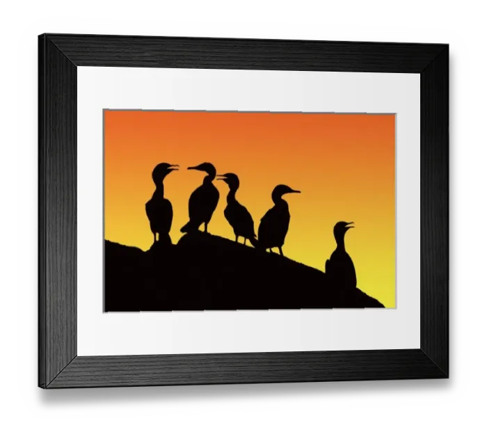 Framed Print : USA, North America, Florida Framed Print : USA, North America, Florida