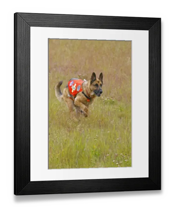 Framed Print : USA, North America, Colorado Framed Print : USA, North America, Colorado