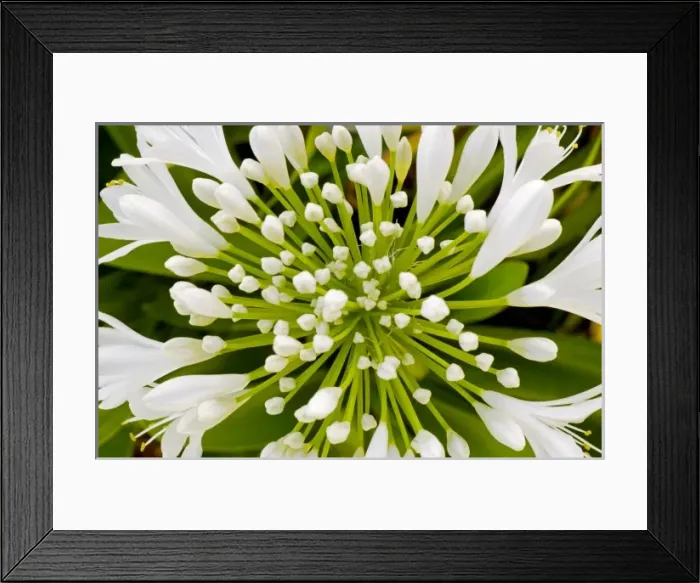 Framed Print : USA, North America, California Framed Print : USA, North America, California