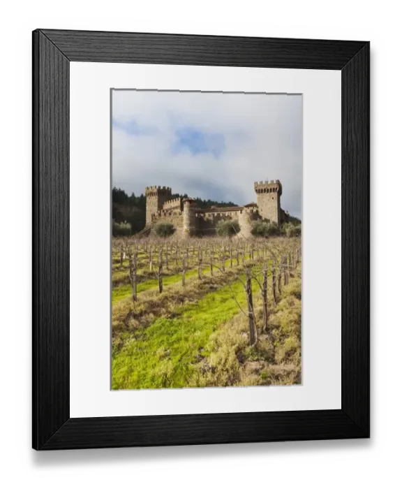 Framed Print : USA, North America, California