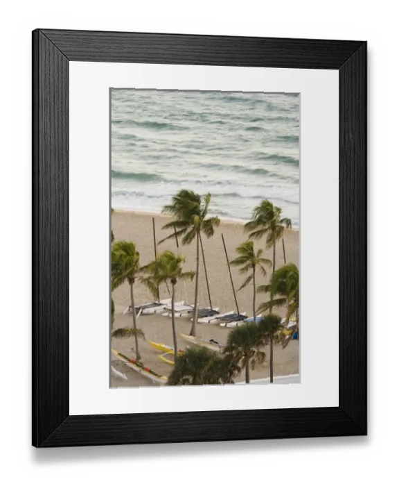 Framed Print : USA, North America, Florida Framed Print : USA, North America, Florida