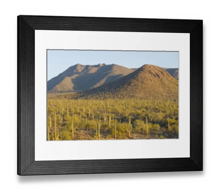Framed Print : USA, North America, Arizona Framed Print : USA, North America, Arizona