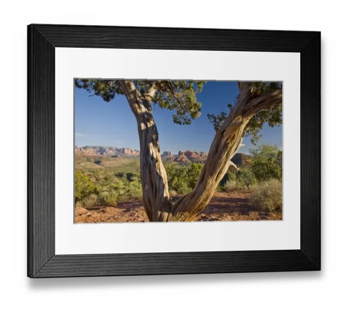 Framed Print : USA, North America, Arizona Framed Print : USA, North America, Arizona