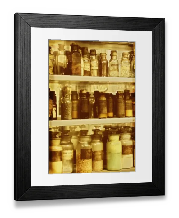 Framed Print : USA, North America, Florida Framed Print : USA, North America, Florida