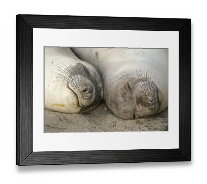 Framed Print : USA, North America, California Framed Print : USA, North America, California