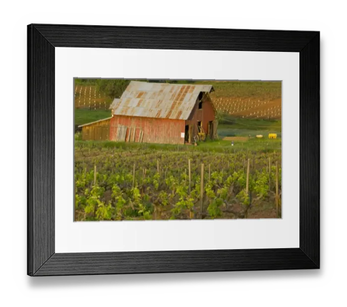 Framed Print : USA, North America, California