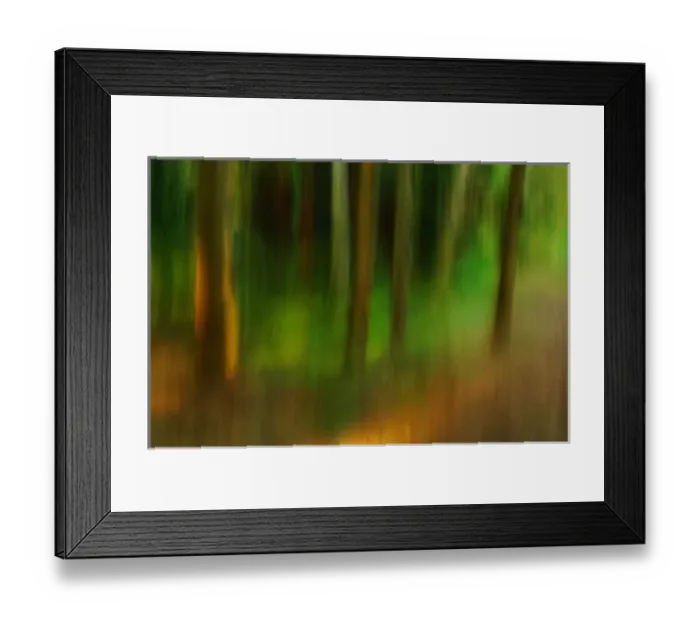Framed Print : North America, USA, Florida, Mt. Dora, panned trees for an abstract painterly feel Framed Print : North America, USA, Florida, Mt. Dora, panned trees for an abstract painterly feel