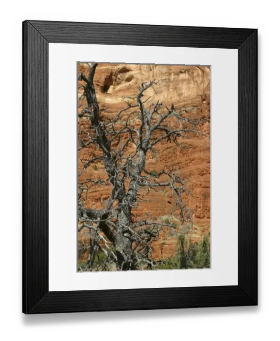 Framed Print : USA, Arizona, Sedona. Scenic Red Rock formations of Sedona, Arizona Framed Print : USA, Arizona, Sedona. Scenic Red Rock formations of Sedona, Arizona