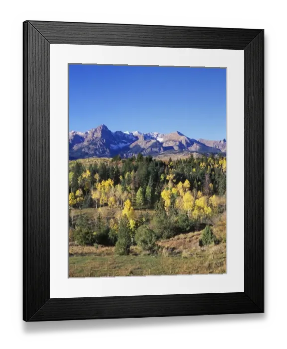 Framed Print : Autumn Color in the San Juan Mountains, Uncompahgre NF, CO, USA Framed Print : Autumn Color in the San Juan Mountains, Uncompahgre NF, CO, USA