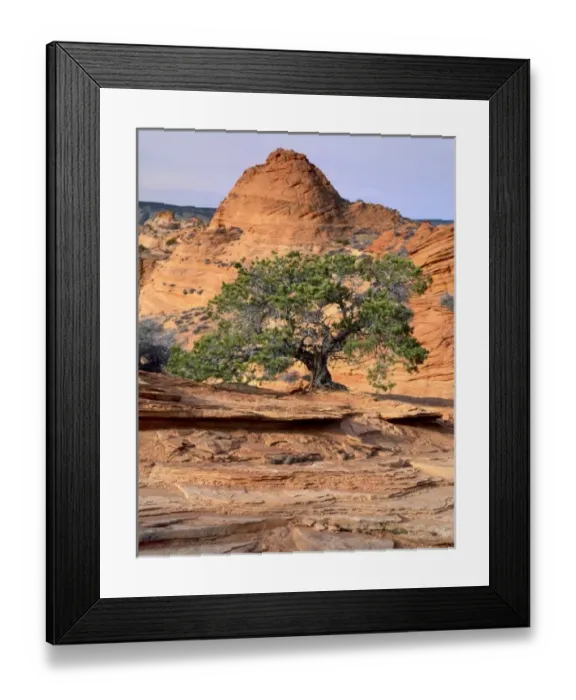 Framed Print : USA, North America, Arizona