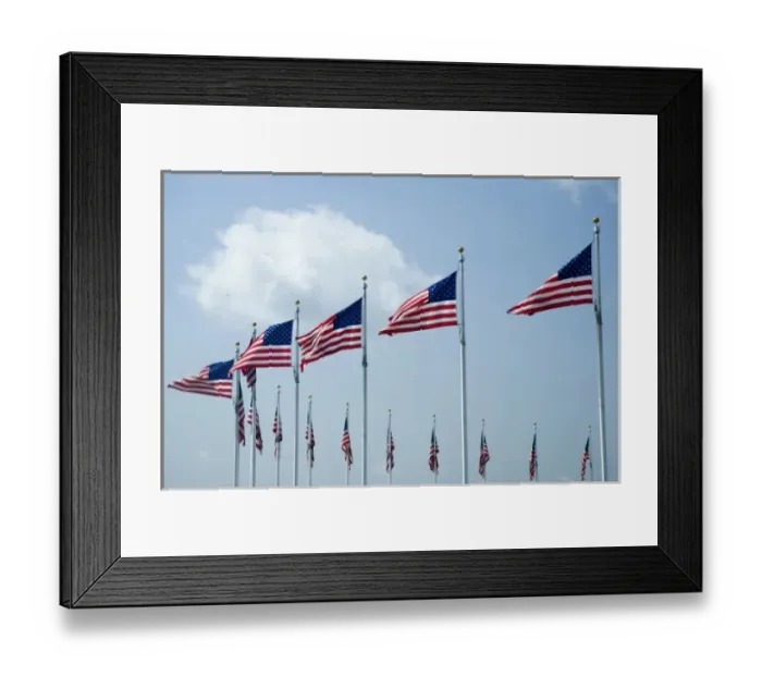 Framed Print : American flags next to Washington Monument, Washington D. C. (District of Columbia) Framed Print : American flags next to Washington Monument, Washington D. C. (District of Columbia)
