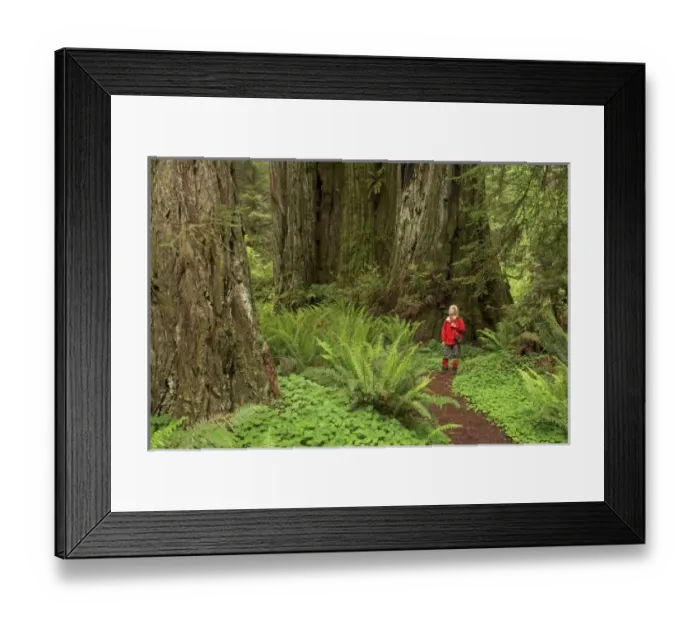 Framed Print : USA, North America, California Framed Print : USA, North America, California