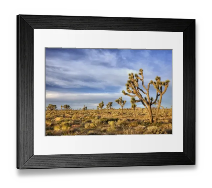 Framed Print : USA, North America, California Framed Print : USA, North America, California