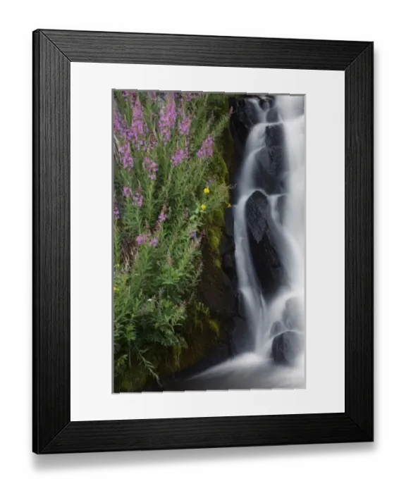 Framed Print : Wildflowers along Kings Creek, Lassen Volcanic National Park, Mount Lassen, California