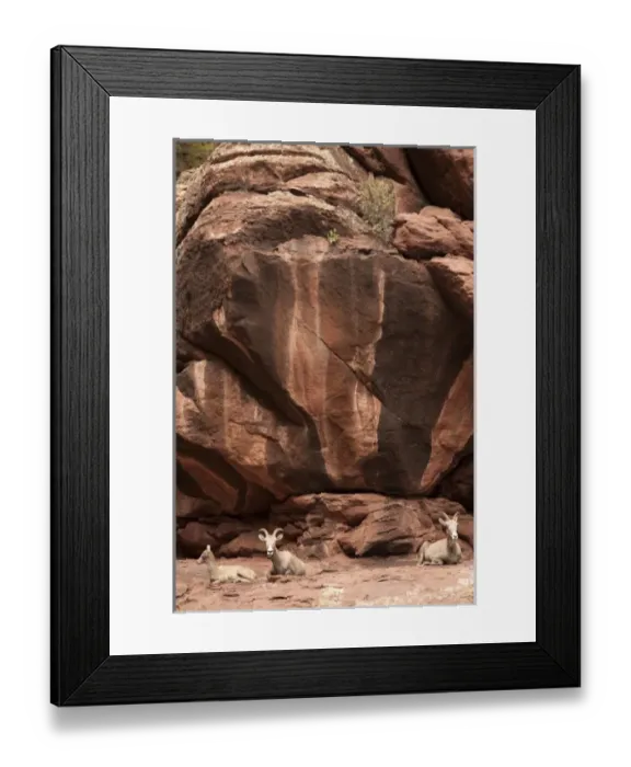 Framed Print : United States, Colorado, Dinosaur National Monument, Green River, Gates of Lodore section