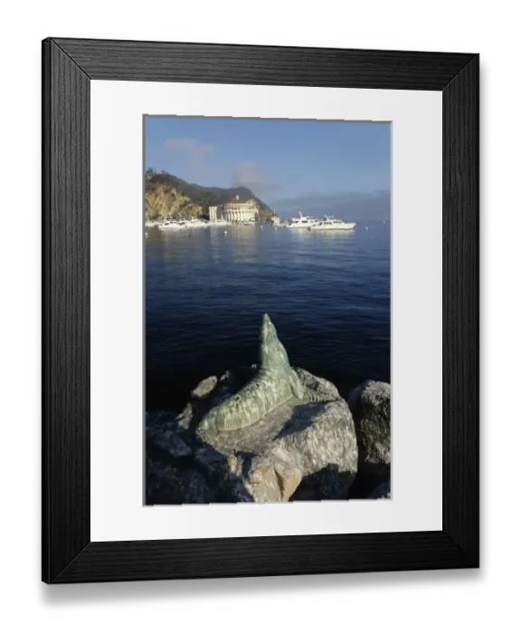 Framed Print : Catalina Harbor, Catalina Island, California
