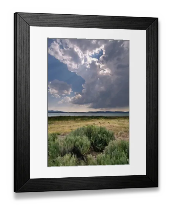 Framed Print : USA, California, Eagle Lake. Rays of sunlight filter down to sagebrush at Eagle Lake Framed Print : USA, California, Eagle Lake. Rays of sunlight filter down to sagebrush at Eagle Lake