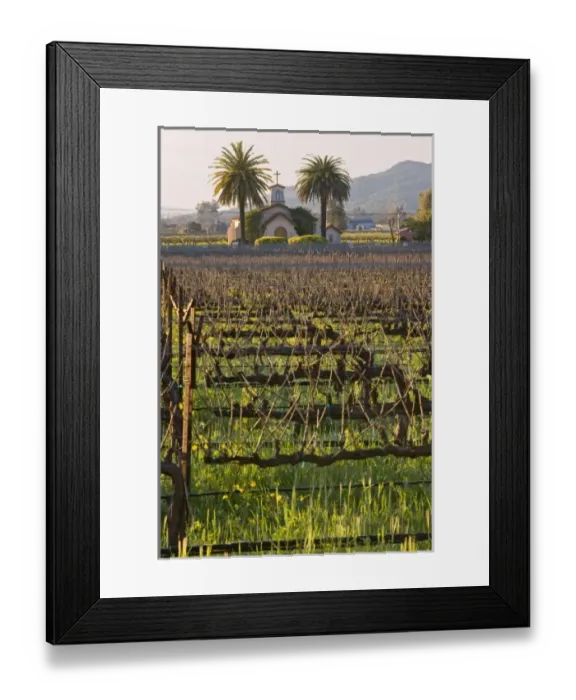 Framed Print : USA, North America, California Framed Print : USA, North America, California