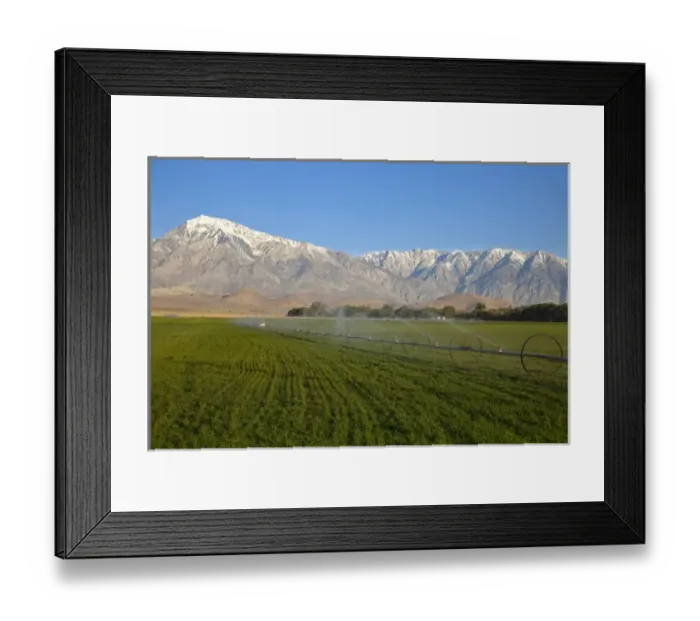 Framed Print : Irrigation sprinkler in agricultural fields in Bishop, California, USA