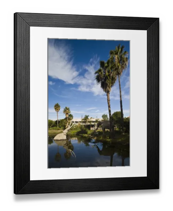 Framed Print : USA, California, Los Angeles. Miracle Mile District, La Brea Tar Pits Framed Print : USA, California, Los Angeles. Miracle Mile District, La Brea Tar Pits