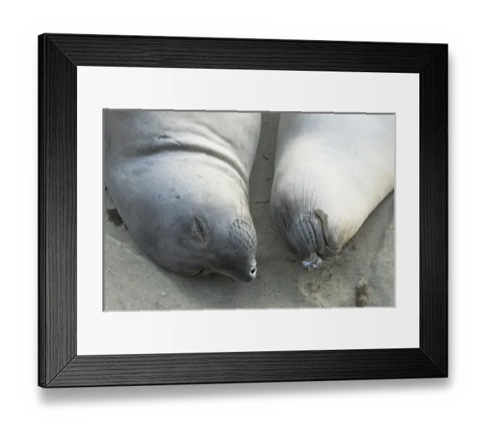 Framed Print : USA, North America, California Framed Print : USA, North America, California