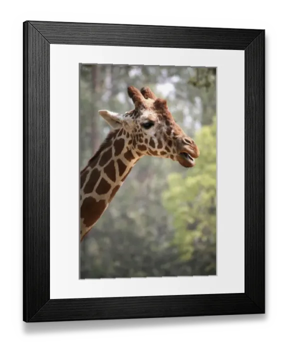 Framed Print : USA, North America, California