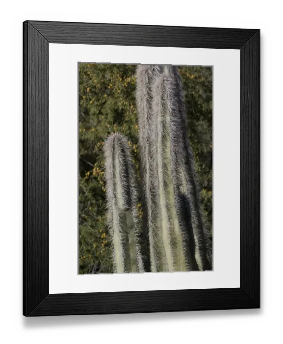 Framed Print : USA, North America, Arizona Framed Print : USA, North America, Arizona