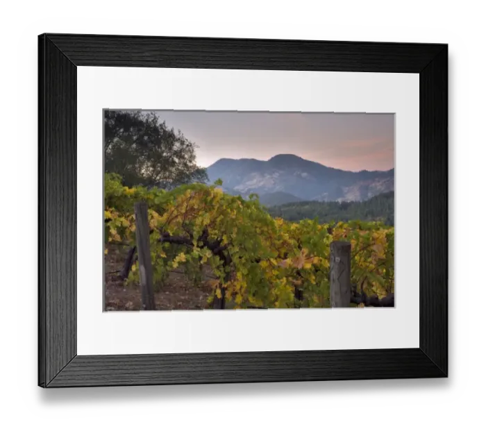 Framed Print : Graeser Winery on Petrified Forest Road, near Calistoga, Napa Valley Wine Country, California, USA