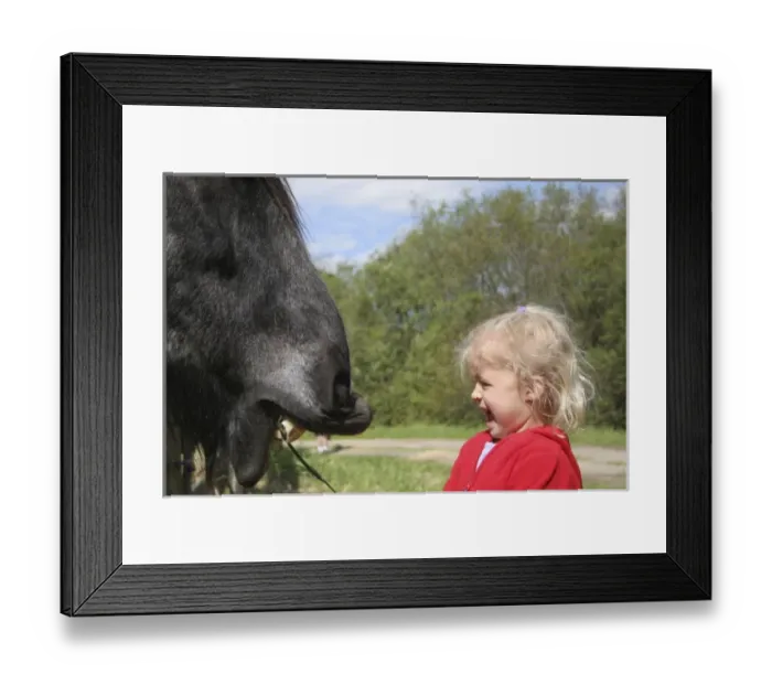 Framed Print : USA, North America, California Framed Print : USA, North America, California