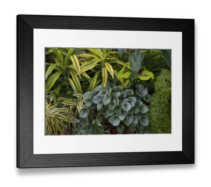 Framed Print : USA, North America, California Framed Print : USA, North America, California