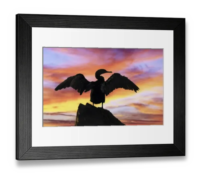 Framed Print : USA, North America, Florida Framed Print : USA, North America, Florida