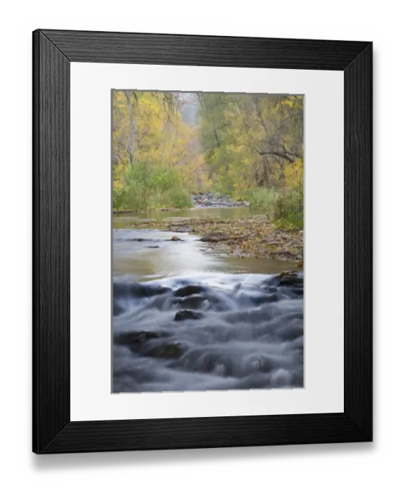 Framed Print : AZ, Arizona, Oak Creek Canyon, Oak Creek and trees with fall color