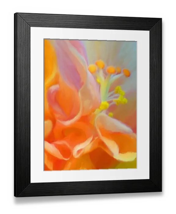 Framed Print : North America, USA, Florida, Orlando, digitally altered, an oil painted rendition