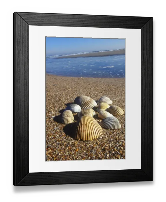 Framed Print : USA, North America, Florida Framed Print : USA, North America, Florida