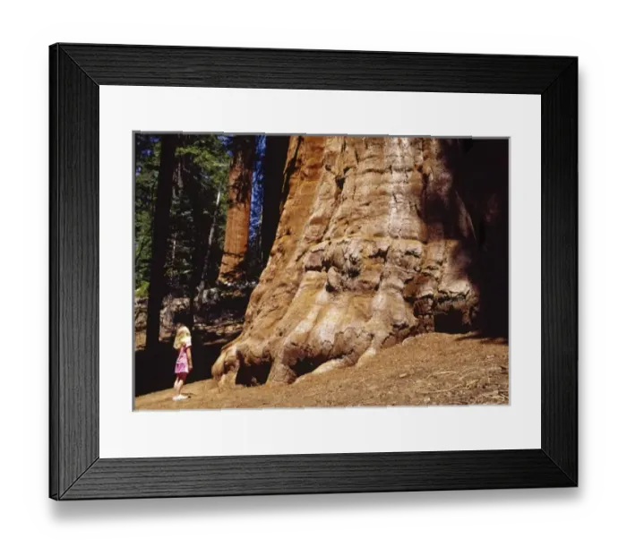 Framed Print : USA, North America, California Framed Print : USA, North America, California