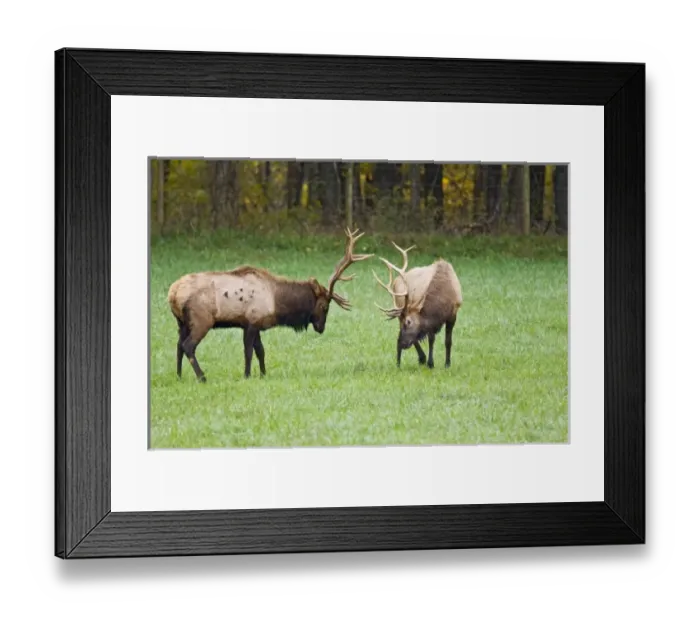 Framed Print : USA, North America, Arizona Framed Print : USA, North America, Arizona
