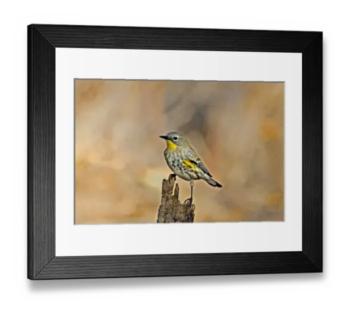 Framed Print : USA, North America, California Framed Print : USA, North America, California
