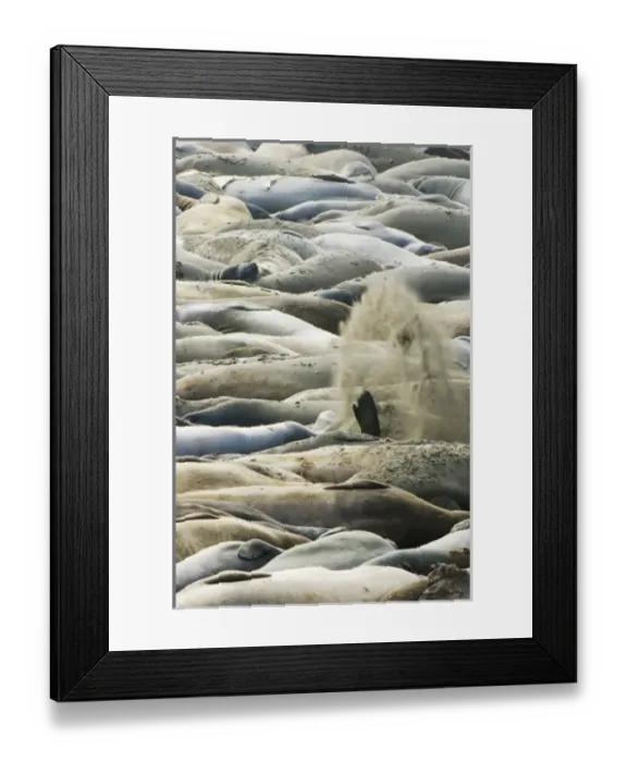 Framed Print : USA, North America, California Framed Print : USA, North America, California