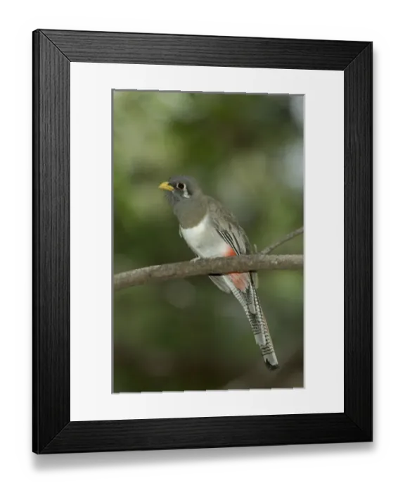 Framed Print : USA, North America, Arizona Framed Print : USA, North America, Arizona
