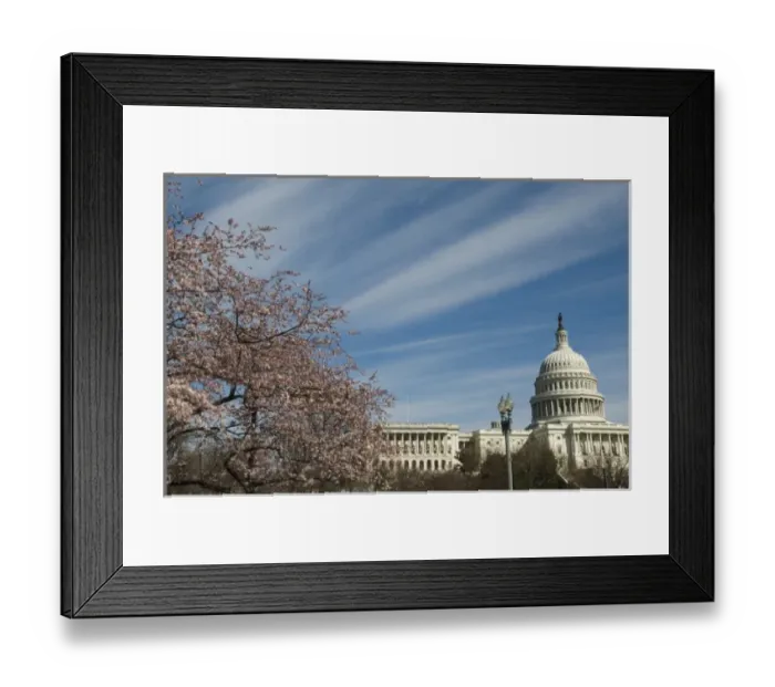 Framed Print : US Capitol building, National Mall National Park, Washington D. C. USA Framed Print : US Capitol building, National Mall National Park, Washington D. C. USA